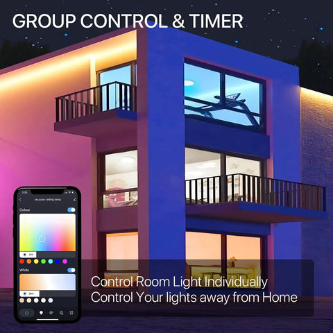 Smart RGB LED Ceiling Light Flush Mount 12 Inch 24W Dimmable, Tunable White 2700K To 6500K And Full Color Ambience, WiFi Control Interface