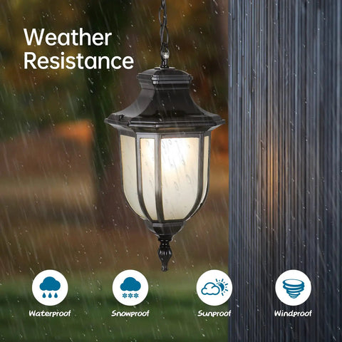 Modern Outdoor Pendant Lights Waterproof Aluminum Fixture With Bubble Glass Shade In Industrial Black Finish for weather resistance