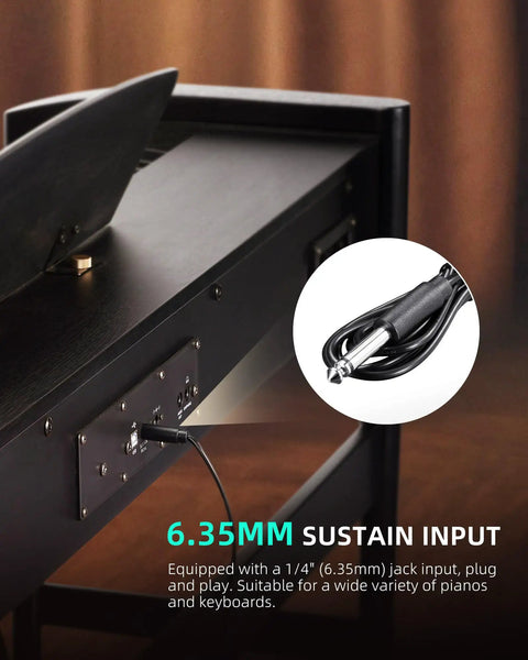 6.35mm input on keyboard for Sustain Pedal For Keyboards And Digital Pianos With Polarity Switch One Quarter Inch Input