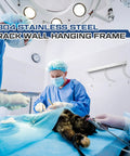 Veterinary surgery room with Endotracheal Tube Holder Rack For Veterinary Use, Stainless Steel Wall Mount Organizer visible on wall.