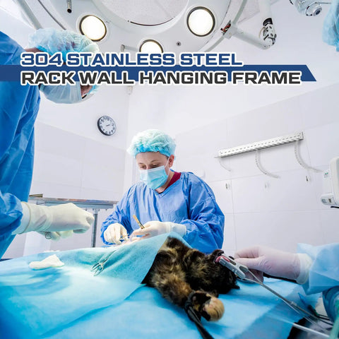 Veterinary surgery room with Endotracheal Tube Holder Rack For Veterinary Use, Stainless Steel Wall Mount Organizer visible on wall.