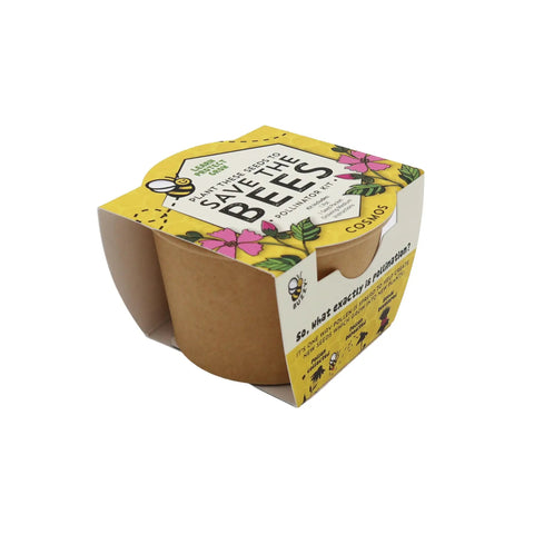 Wildflower Garden Kit That Attracts Bees And Butterflies With 12 Biodegradable Pots Coconut Coir Growing Medium Pollinator Seed Packets