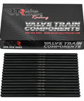 Stage Two Naturally Aspirated Camshaft With Beefy Dual Valve Springs And Featherlight Titanium Retainers Plus Seven Forty Chromoly Pushrods And Clean Gasket Setup Loaded For Six Zero Six Two L Ninety Nine Engines - 7.400-inch Chromoly pushrods arranged in front of packaging.