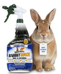 Ready-To-Use Bunny-Proof Outdoor Rabbit Repellent Spray With Mint Scent, Safe For People Pets And Plants, Keeps Your Garden And Lawn Bunny Free, 40 Fl Oz bottle next to a rabbit.