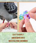 Applying 8mm Pigeon Leg Bands Set For Poultry With Laser Etched 001 To 100 In Five Colors Plastic Chicken Tags to pigeon leg.
