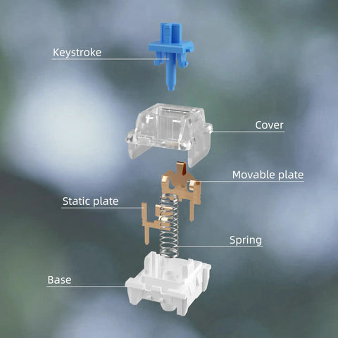 Exploded view of a 36 Pack Blue 3 Pin Dustproof Mechanical Keyboard Switch showcasing keystroke, cover, plates, spring, and base components.