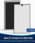Replacement Filter For MA-112 Compatible Systems, High Efficiency Filtration That Keeps Air Clean, two-pack filters front and back view