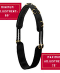 Black neoprene surcingle with brass buckles and dee rings for horse training, adjustable 68-72 inches, shown on white background.