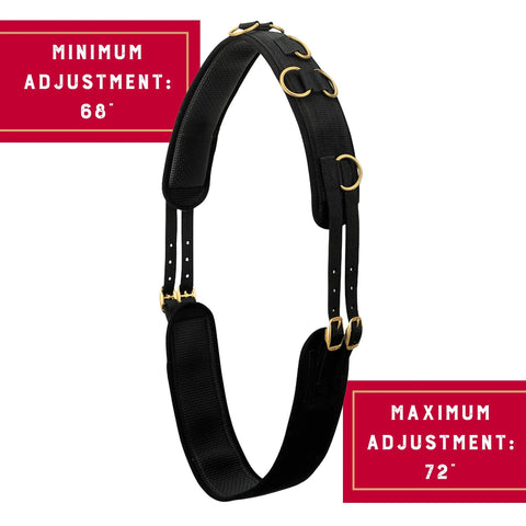 Black neoprene surcingle with brass buckles and dee rings for horse training, adjustable 68-72 inches, shown on white background.