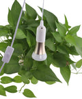 2 Pack E26 E27 LED Light Socket with 5.9 Foot Extension Cord On Off Switch US Plug Pendant Lighting Socket hanging near plant