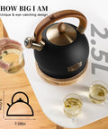 Induction Ready Whistling Tea Kettle And Teapot, 2.5L Stainless Steel With Cool Touch Ergonomic Handle in Polished Black