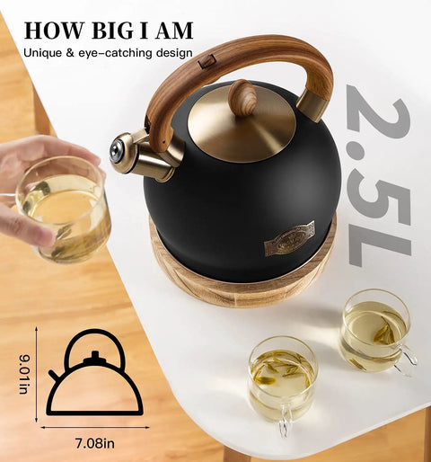 Induction Ready Whistling Tea Kettle And Teapot, 2.5L Stainless Steel With Cool Touch Ergonomic Handle in Polished Black