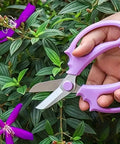 Hand holding Purple Stainless Steel Pruning Shears For Garden Work Ergonomic Handles Lightweight Manual Scissors