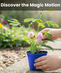 Child touching a Touch Me Not plant from Deluxe Family Greenhouse Kit For Indoor Gardening Lovers Grow A Playful Touch Me Not Plant That Closes Its Leaves When Touched Includes Mini Greenhouse Seed Packets Soil Pellets And Pots Perfect Kid Friendly Gift in a blue pot outdoors.