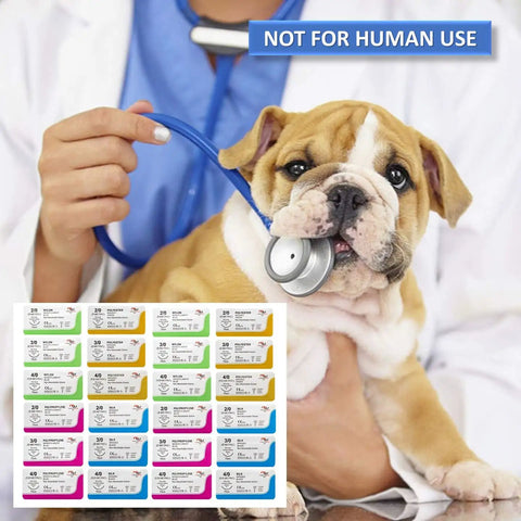 Top Shelf 24 Pack Sterile Suture Threads And Needles For Hands On Practice Medical Demos Taxidermy Sewing Wound Closure Training Nylon And Silk Mix Straight Fire Quality with veterinarian and dog.
