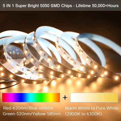 Coiled 24V RGB CCT 5 In 1 LED Strip Lights With Tunable White Ultra Bright 300 LEDs 16.4ft Roll Non Waterproof 5050 RGBWW