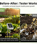 All In One Soil Moisture And pH Meter Set For Home Gardens Portable Plant Health Tester showing before and after plant growth effect.