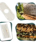 Six Pack Bee Escape Equipment Set 109 By 42 Mm Plastic Hive Doors with 21.7mm hole for beekeeping shown in use and close-up