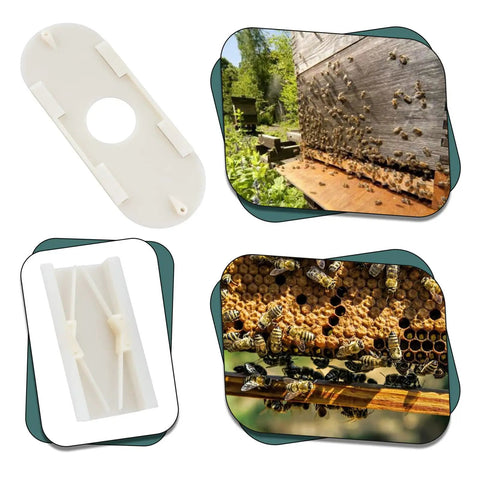 Six Pack Bee Escape Equipment Set 109 By 42 Mm Plastic Hive Doors with 21.7mm hole for beekeeping shown in use and close-up