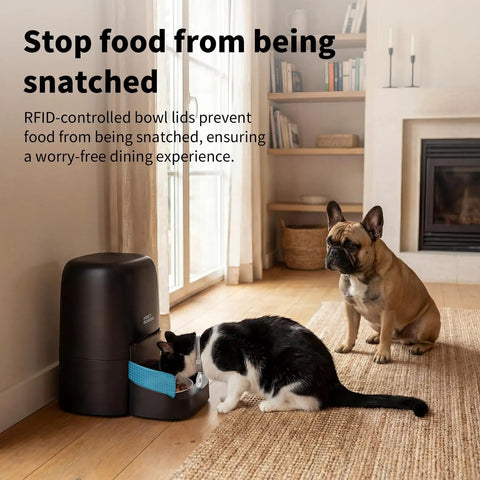 RFID Enabled Cat Feeder With Collar Tag And No Fuss App Control, 4.6L Capacity, diet tracking feature shown in use.