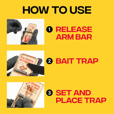 Step-by-step guide showing how to use Top Tier Reusable Wooden Snap Mouse Traps 12 Pack Heavy Duty Rodent Control.
