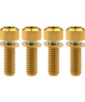 Pack of 4 Titanium Alloy M6x16 18 20 25 30 35mm Hex Head Bike Stem Bolts With Washer for MTB and Road Bikes, Grade 5 6AL4V, Gold Finish.