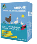 Box of 10Lb Dried Black Soldier Fly Larvae For Chickens Calcium Packed Poultry Treat That Boosts Crack Resistant Eggshell Strength