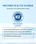 NSF certified label for LT1000PC Replacement Refrigerator Water Filter For LG And Kenmore 46-9980, highlighting safety standards.