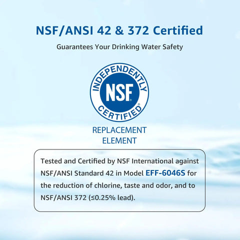 NSF certified label for LT1000PC Replacement Refrigerator Water Filter For LG And Kenmore 46-9980, highlighting safety standards.