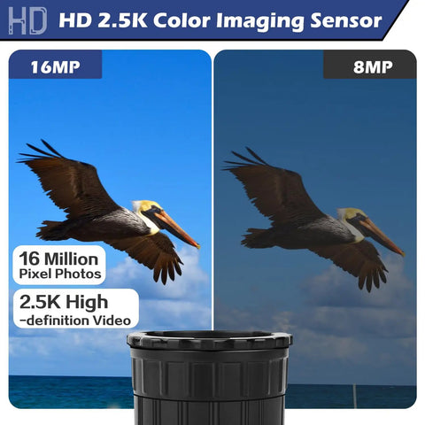 Comparison of 16 MP and 8 MP imaging with WiFi Eyepiece For Telescope And Microscope, HD 2K Image Amplifier.