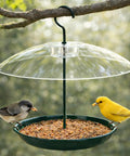 Outdoor Platform Bird Feeder With 12 Inch Weatherproof Dome And Squirrel Resistant Tray 2 Lb Seed Capacity 360 Degree Feeding Easy Hang