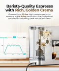 Sick Home Barista Essential Featuring Professional Espresso Machine With Milk Frother And Instant Cold Brew Maker For No Sweat Daily Grinds And Smooth 20 Bar Extraction Vibes showing brewing process and espresso extraction.