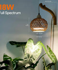Go-To Rattan Hanging Grow Light For Indoor Plant Parents, 3800K Warm White Botanical Dome with plant and wall setup details.