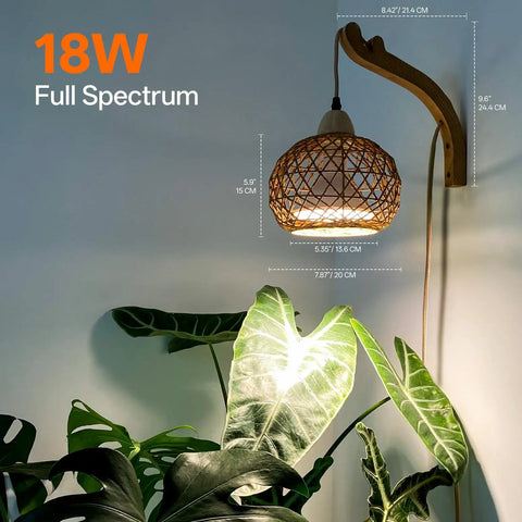 Go-To Rattan Hanging Grow Light For Indoor Plant Parents, 3800K Warm White Botanical Dome with plant and wall setup details.