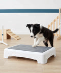 Puppy using Portable Puppy Training Platform With Non Skid Surface For Indoor And Outdoor Dog Agility Practice Slip Resistant Plastic Board