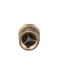 Front view of brass 1 in female union inlet x 1 in female outlet dual check valve; gray internal mechanism visible