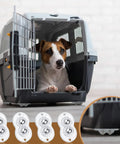 Jack Russell Terrier in a gray plastic pet carrier featuring 16 Piece Clear Self Adhesive Appliance Casters Featuring Dual Steel Ball Rollers For Pain Free Heavy Gadget Moving Straight Up Game Changer Kitchen Counter Savers.