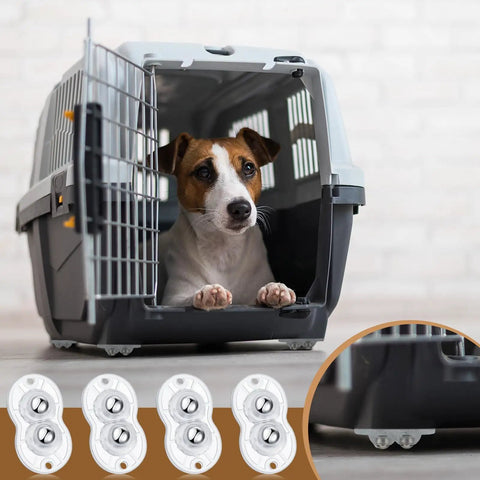 Jack Russell Terrier in a gray plastic pet carrier featuring 16 Piece Clear Self Adhesive Appliance Casters Featuring Dual Steel Ball Rollers For Pain Free Heavy Gadget Moving Straight Up Game Changer Kitchen Counter Savers.