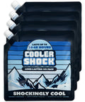 Four Pack 10x10 Inch Cooler Ice Packs With Screw Cap No Ice Needed 18 Degrees F Phase Change Reusable Water Activated Cold Packs for Camping