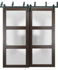 Lucia 2552 Interior Barn Bypass Sliding Doors With Frosted Glass and Solid Wood, 56x96 Inches, Black Finish, Modern Style