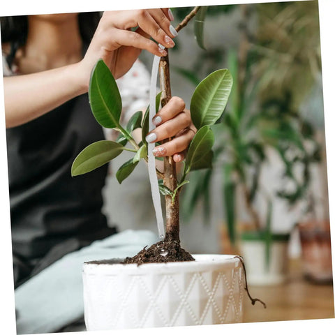 Automatic Watering Cotton Rope Wick For Hydroponic Planters No Fuss Self Watering System For Indoor Plants Effortless Maintenance And Consistent Water Supply Absorbent Cotton Wick, white wick in potted plant