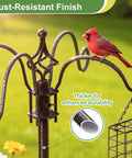 Close-up of rust-resistant garden bird feeding station with heavy duty metal squirrel baffle and cardinal perched on hook.