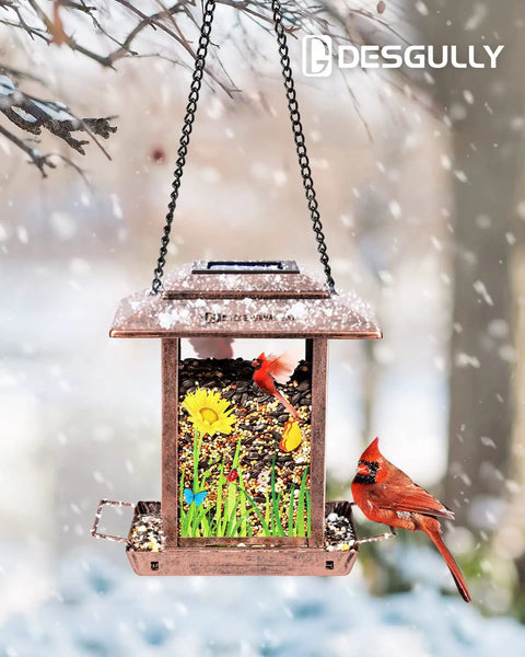 Solar Bird Feeder And Lantern For Outdoors Chew Proof Metal Feeder With Big Two And A Half Pound Seed Capacity hanging with cardinal birds.