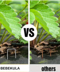 Comparison of BEBEKULA and other garden stakes securing weed barrier fabric with 100 Pack 6 Inch Garden Stakes Galvanized Landscape Staples
