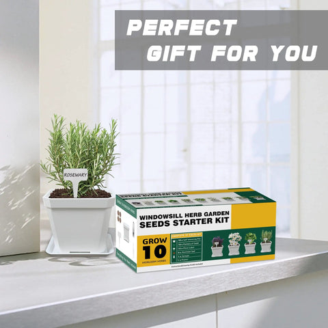10 Herb Seeds Garden Starter Kit With White Pots Markers Soil Discs Watering Bottle Herb Clipper Mini Pruner And Complete Indoor Kitchen Herb Garden Set For Easy No Fuss DIY Growing on windowsill