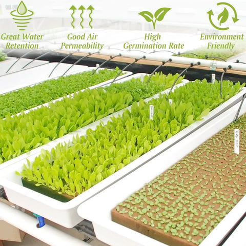 1 Inch Rockwool Cubes For Easy Seed Starting And Cloning In Hydroponics Soilless Grow Setup Plugs Seed Starters For Germination Of Cuttings And Seedlings With 2 Sheets And 100 Pieces