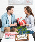 Couple exchanging gift with Terrarium Plant Display With Wooden Stand And Glass Bulb Vases, Vintage Metal Swivel Holder in foreground