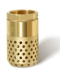2 Inch Brass Foot Valve With Mesh Strainer And Backflow Prevention, Universal One Way Female NPT Check Valve For Irrigation And Water Pump Systems