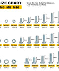 Pro Grade 1004 Piece Heavy Duty Bolt And Nut Set With M6 M8 M10 Bolts Flange Nuts Washers And Spring Washers Zinc Plated size chart