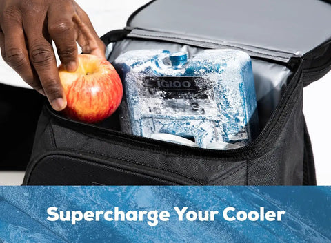 Long Lasting Reusable Ice Packs For Coolers Refreezable Gel Ice Blocks with apple in a cooler bag